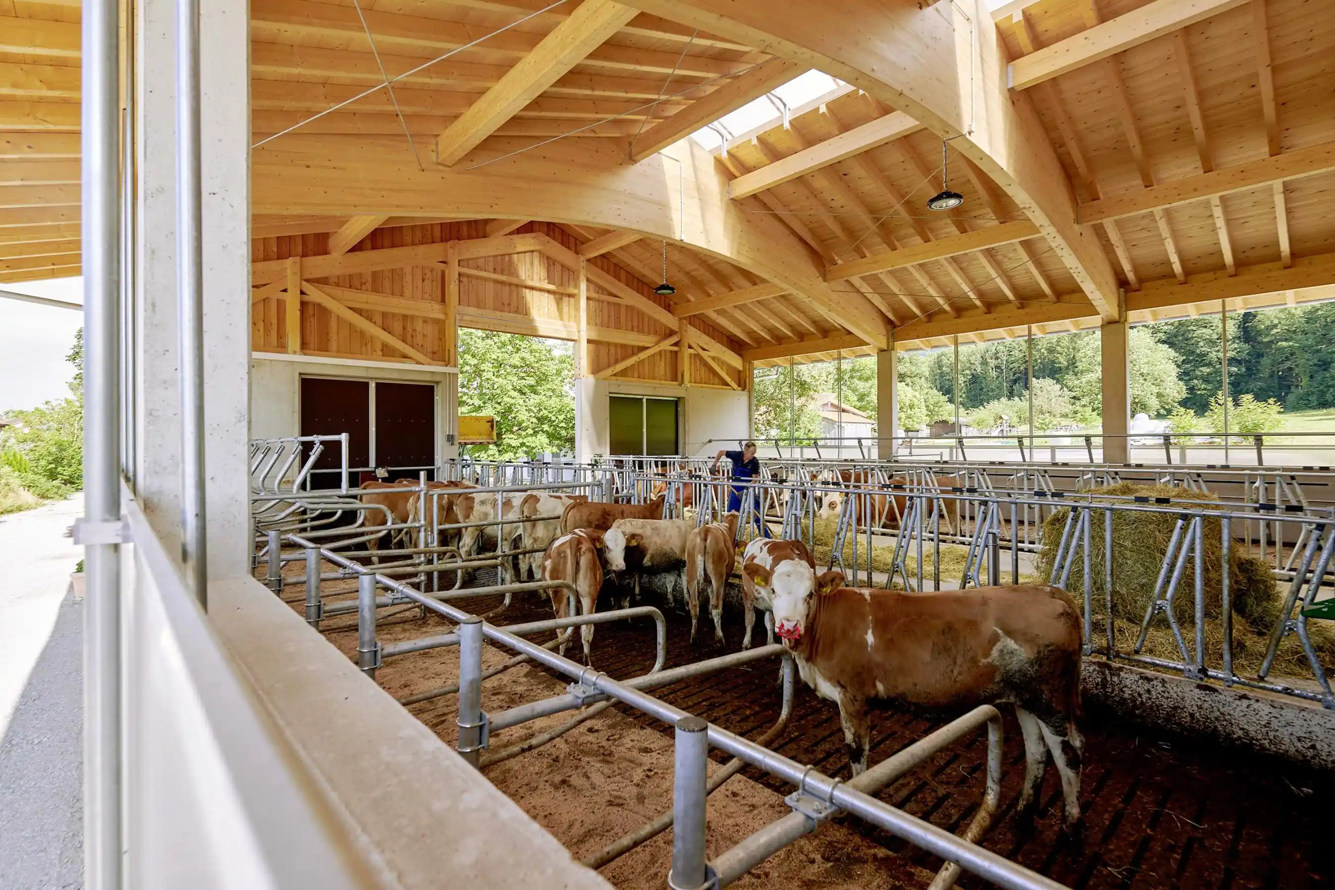 Mithilfe bei der Stallarbeit am Hanznhof