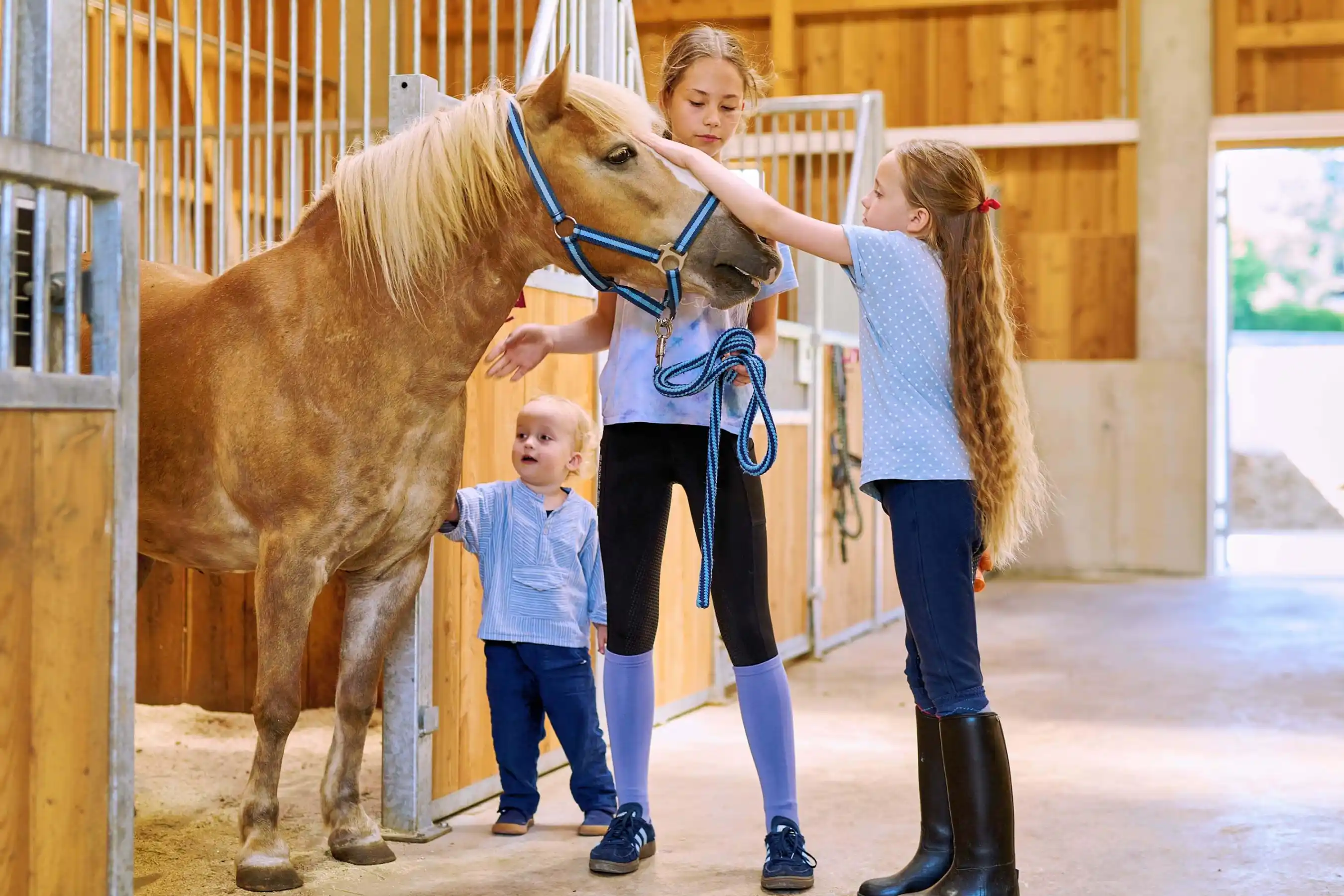 Urlaubserlebnisse mit dem Pony