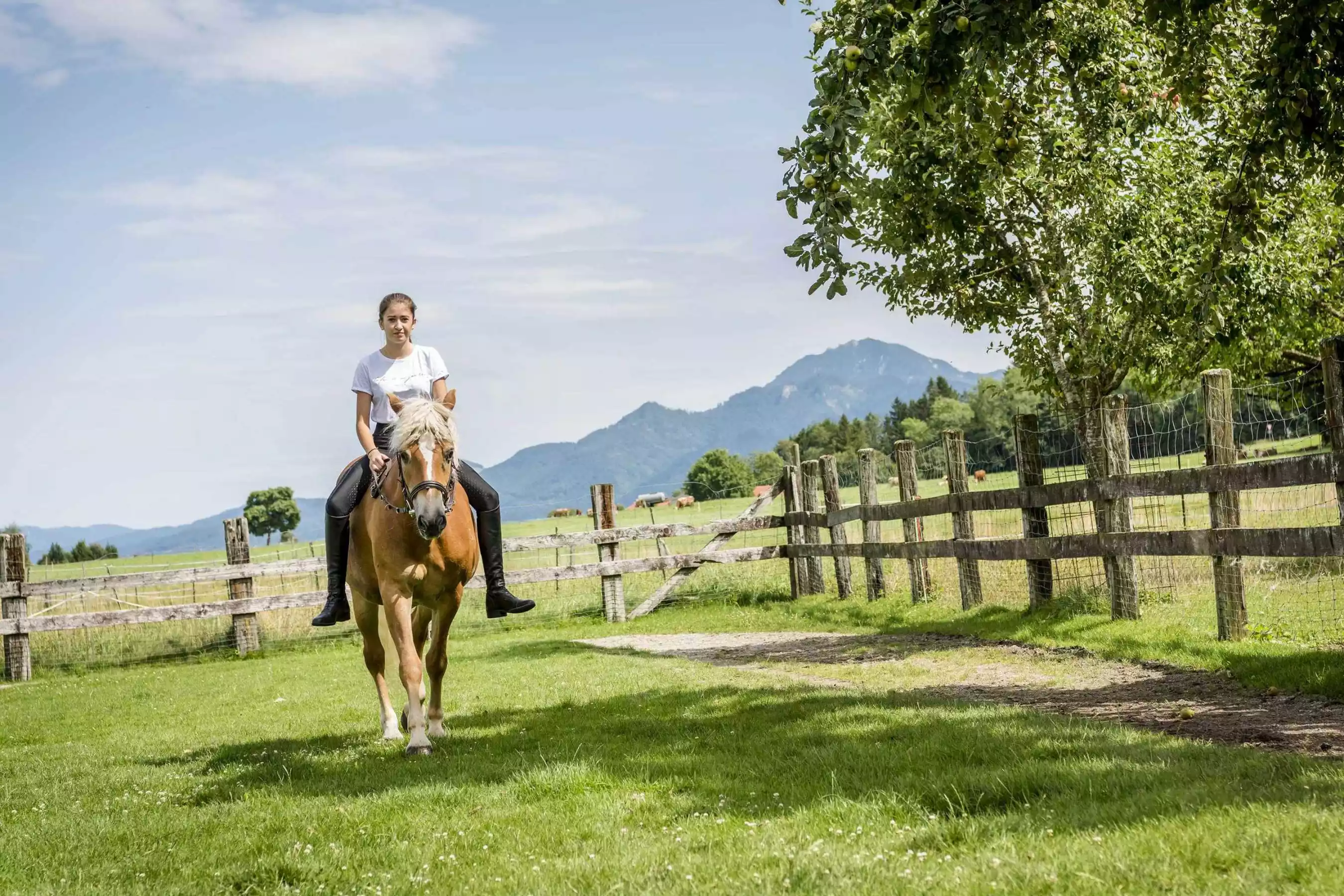 Urlaubsangebot zum Frühlingserwachen am Hanznhof im Chiemgau
