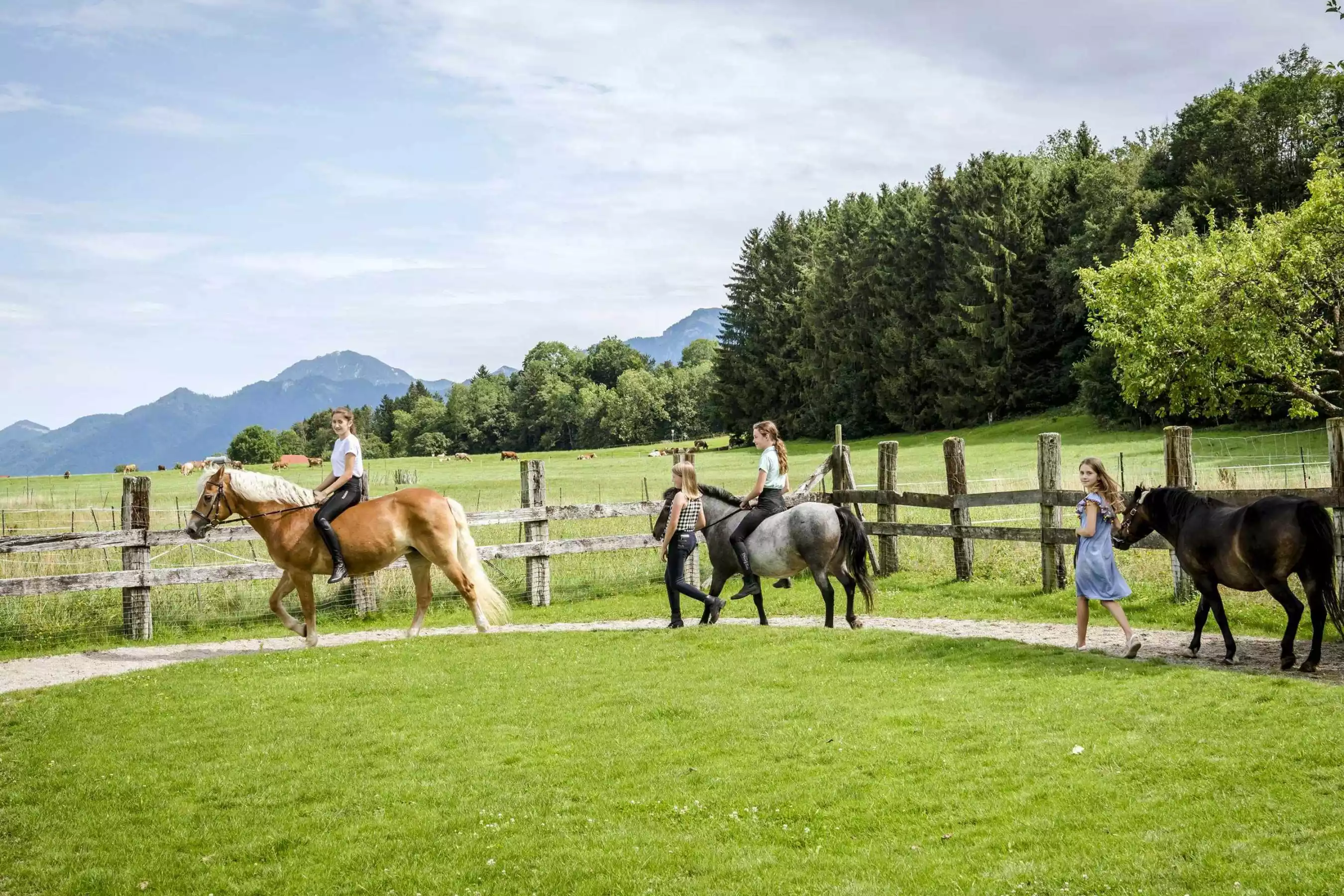 Aktionsangebot Frühsommeraktion Chiemsee