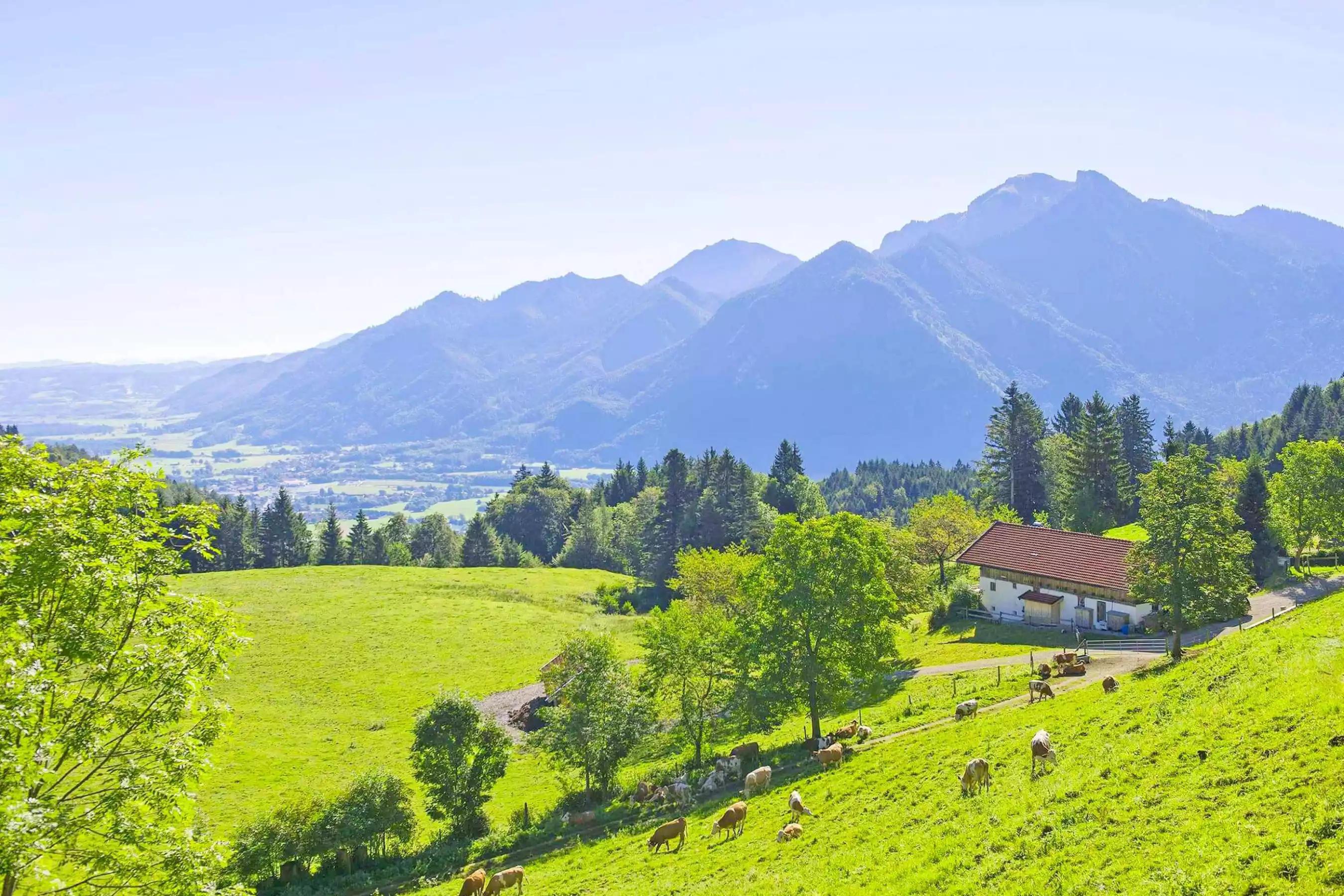 Natur hautnah erleben in der Bergwelt Bayern
