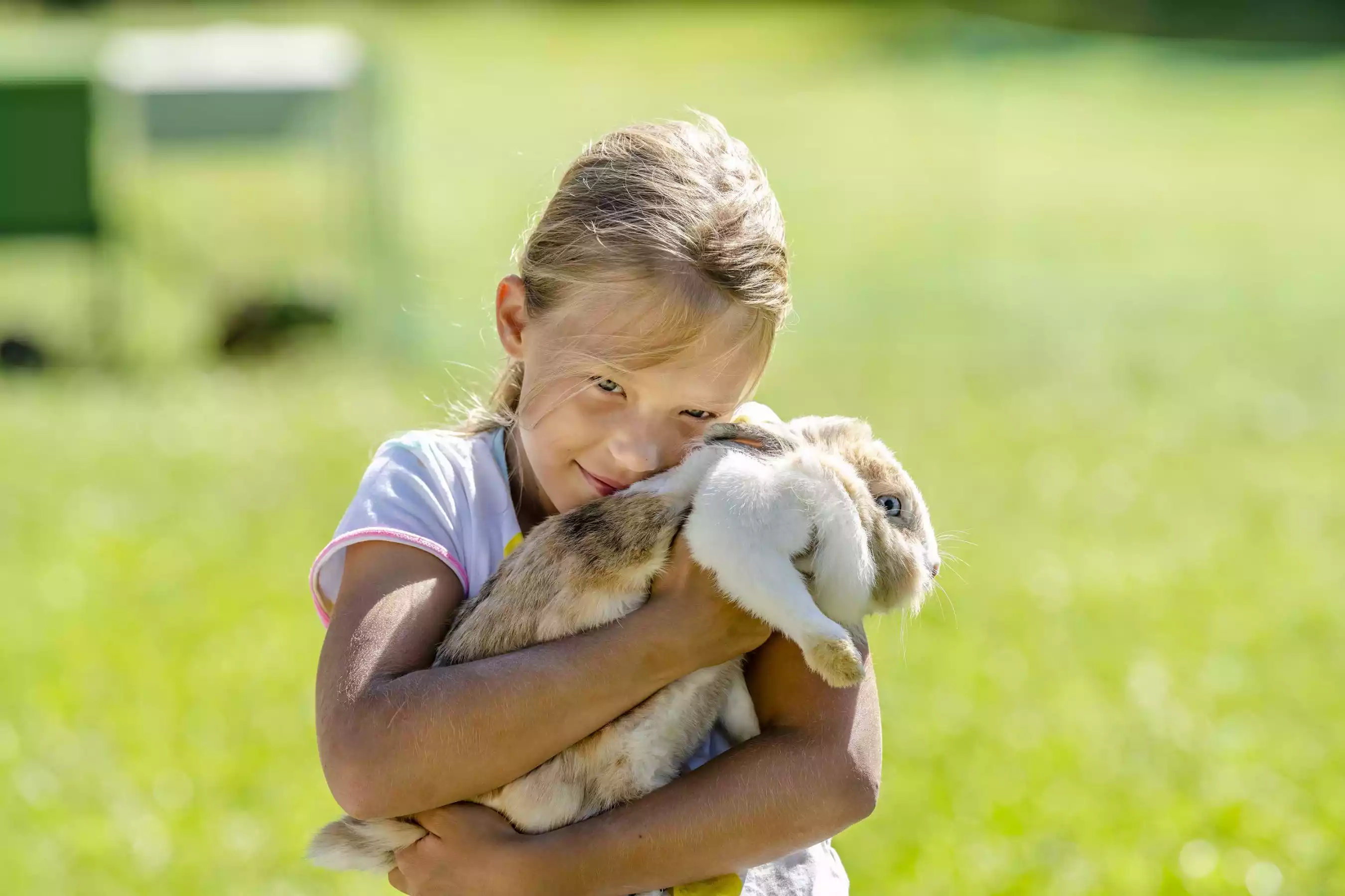 Kuscheleinheiten mit den Tieren im Streichelzoo am Hanznhof