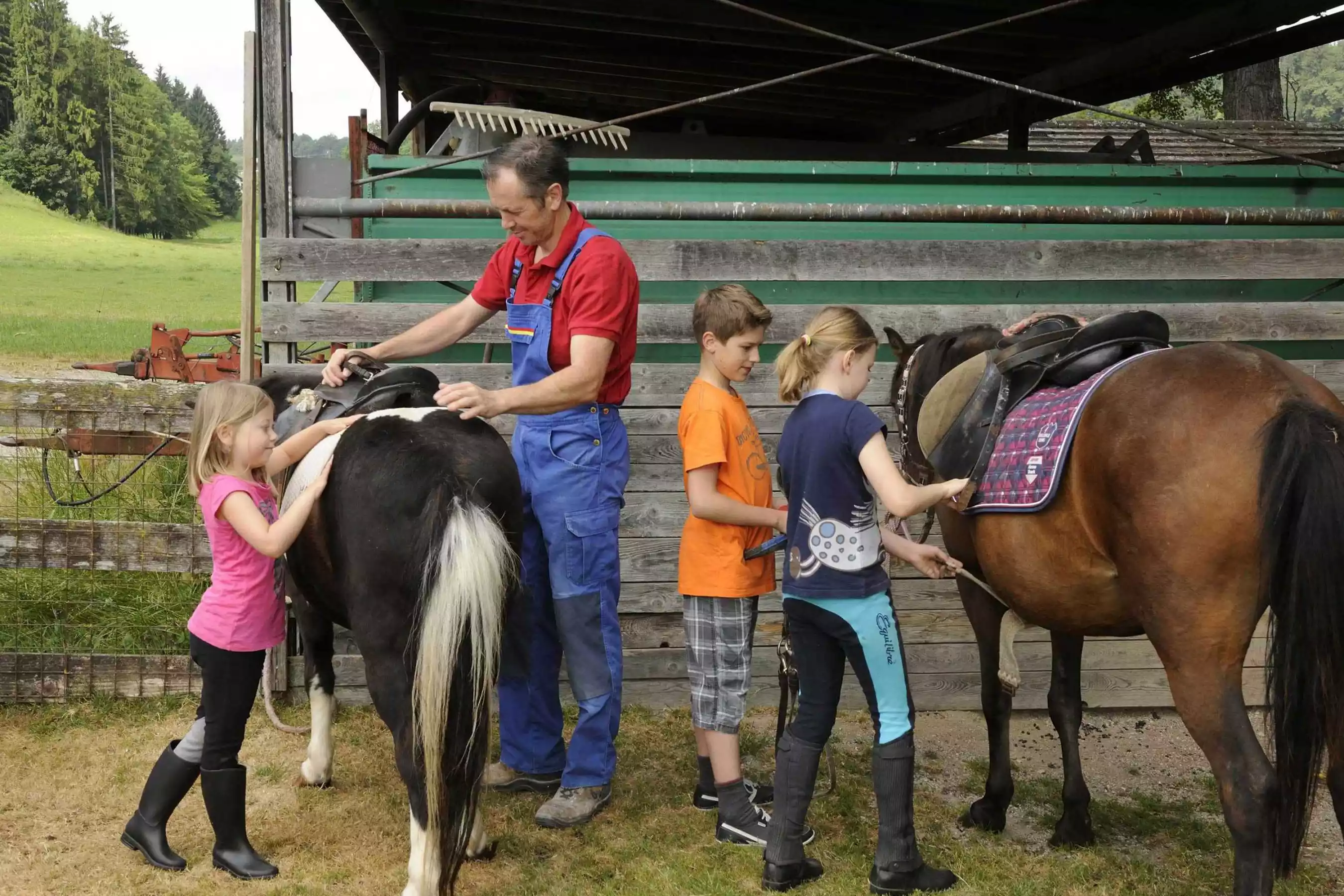 Streichelzoo Schafe Ziegen Hühner Meerschweinchen Damhirsche