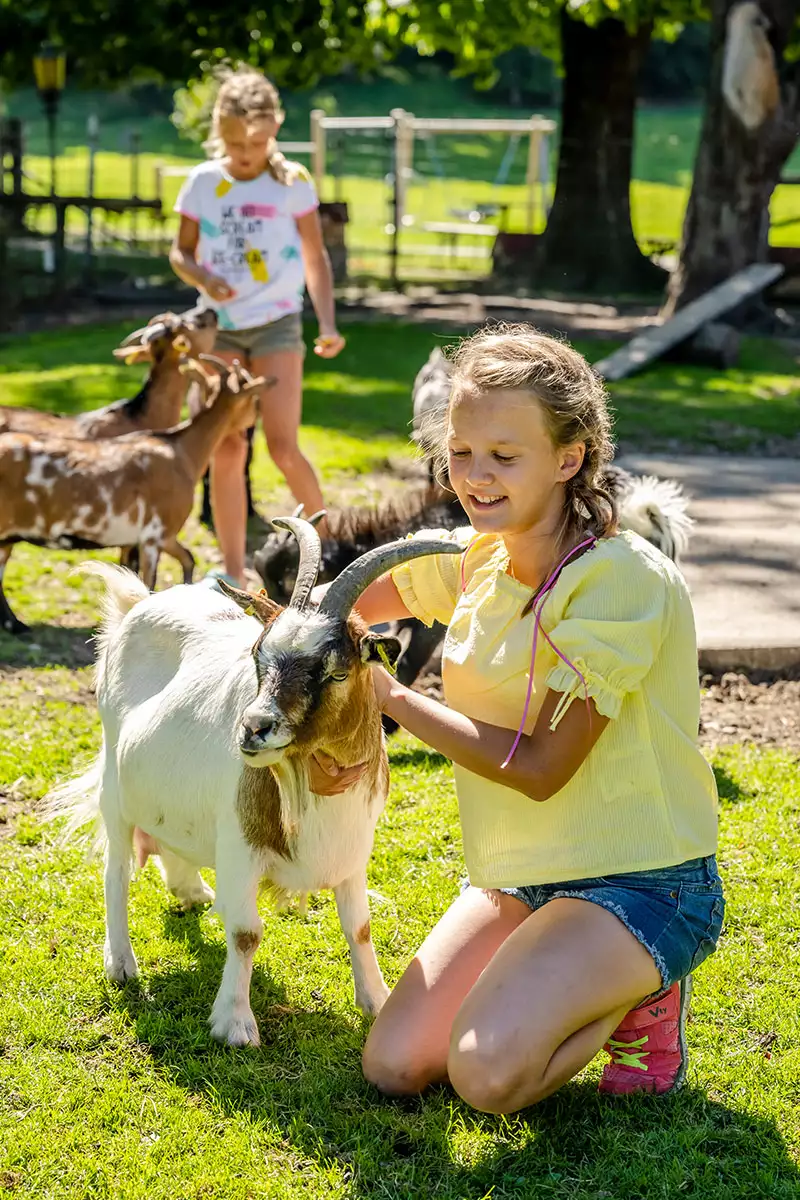 Ferienwohnung am Ignazhof in jeder Kategorie