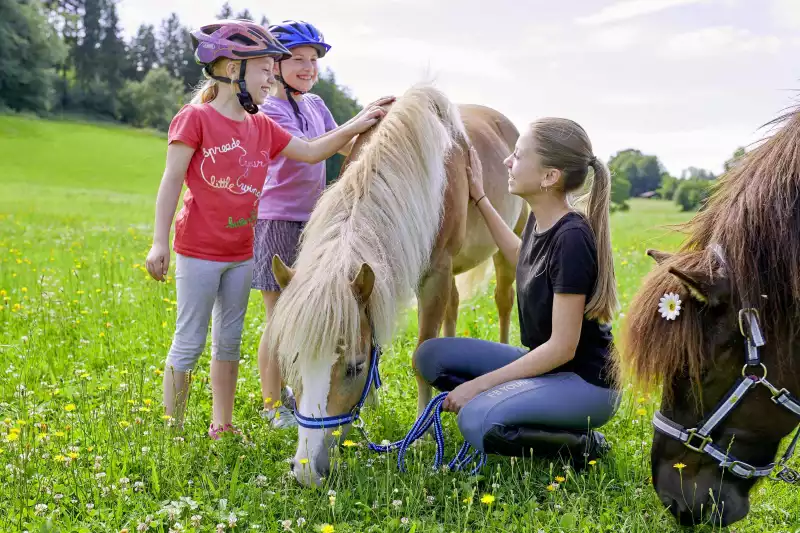 Hanznhof im Chiemgau
