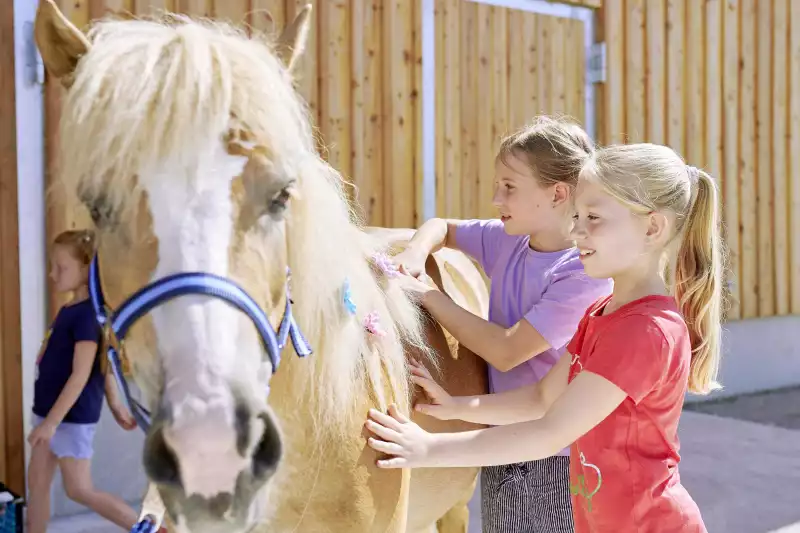 Hanznhof im Chiemgau