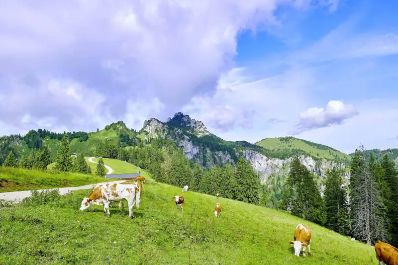 Hanznhof im Chiemgau
