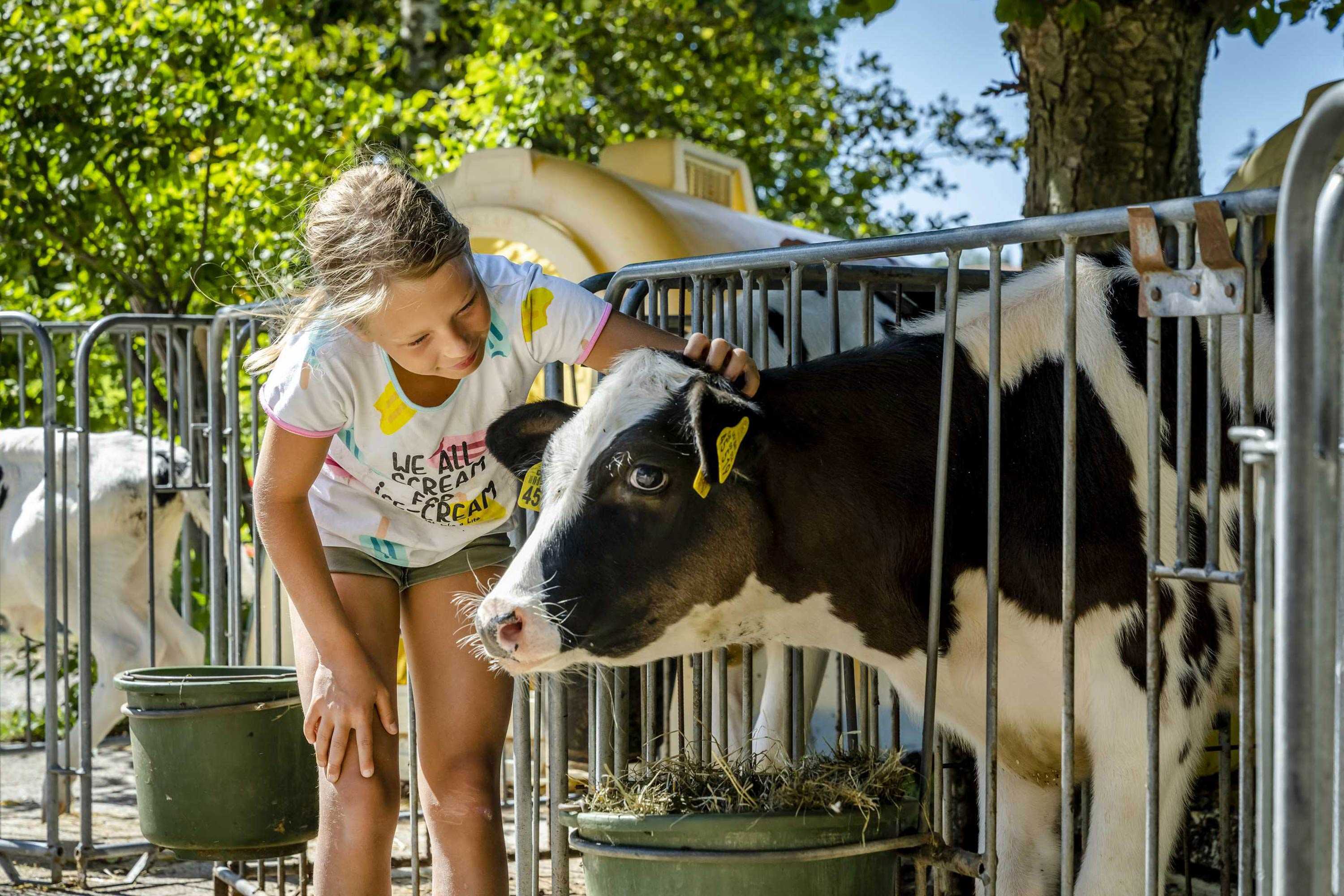 Stalldiplom erwerben am Urlaubsbauernhof