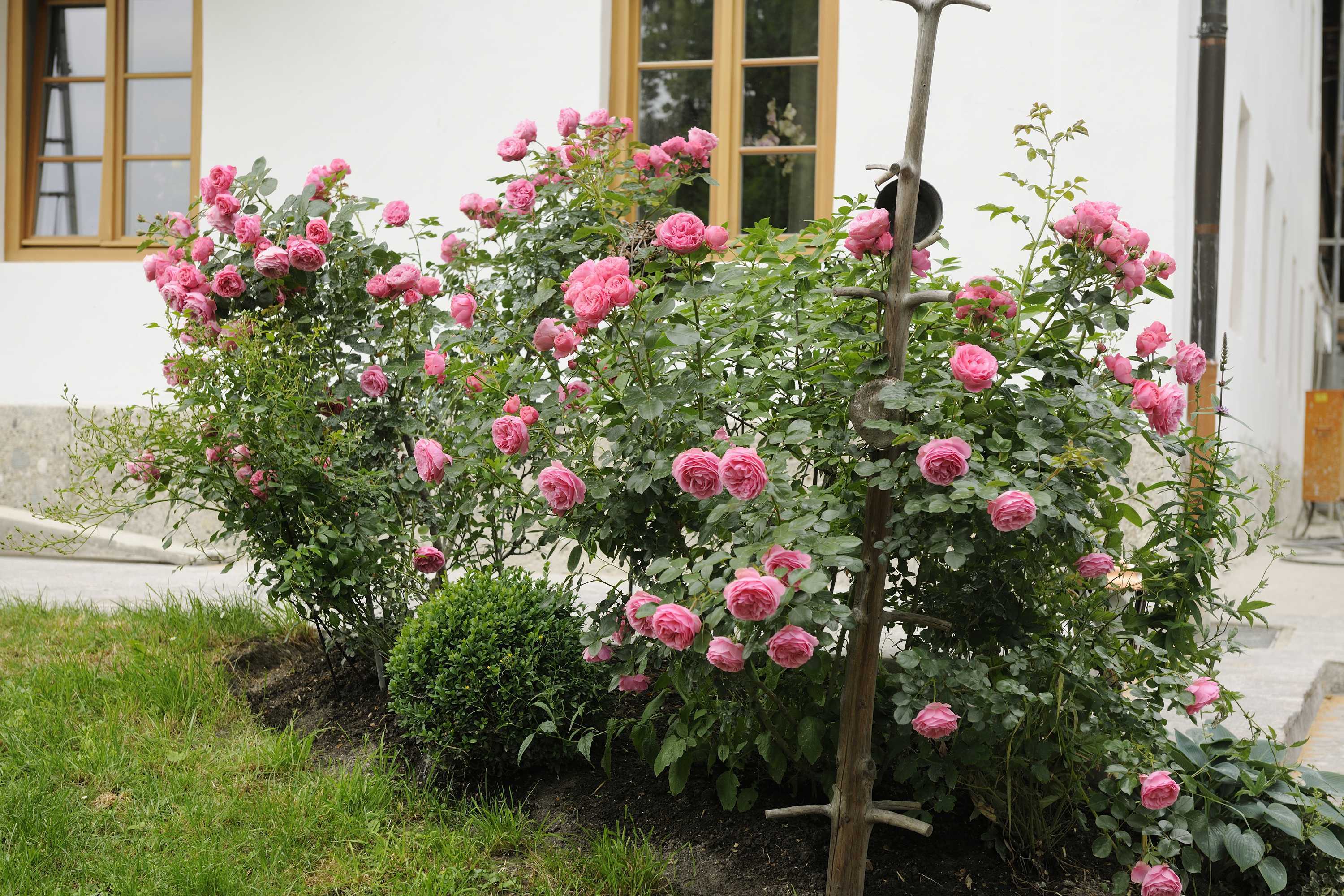 Bauernhoferlebnis am Hanznhof mit echter Landwirtschaft